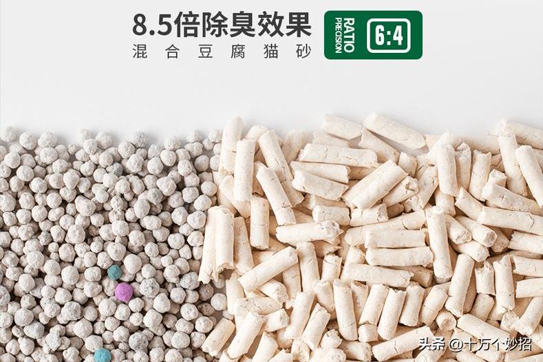 猫咪误食猫砂有怎样的后果 (猫咪用的猫砂有毒吗)