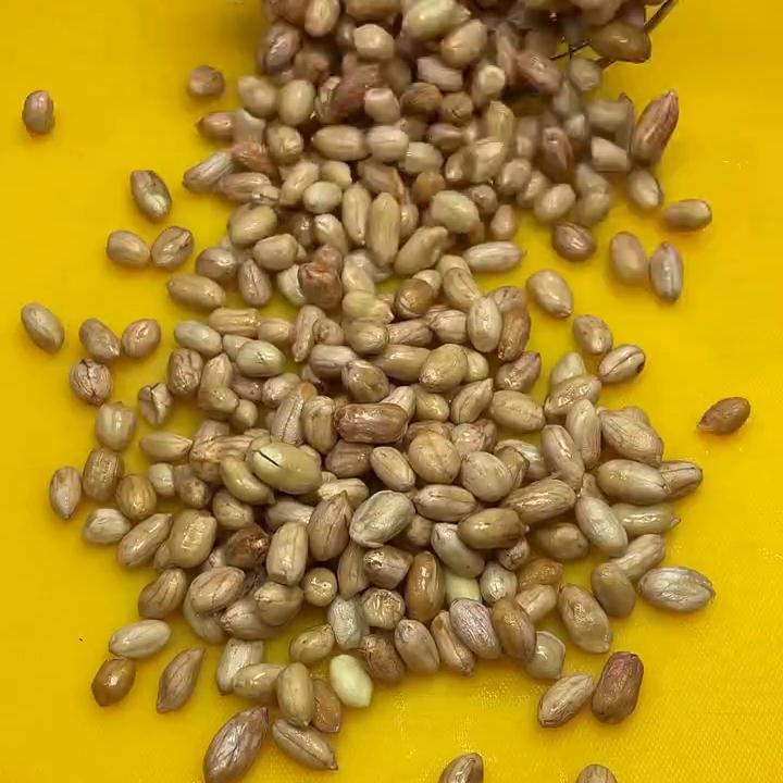 高端的食材只需要简单的烹饪句子,高端食材往往需要简单烹饪的梗