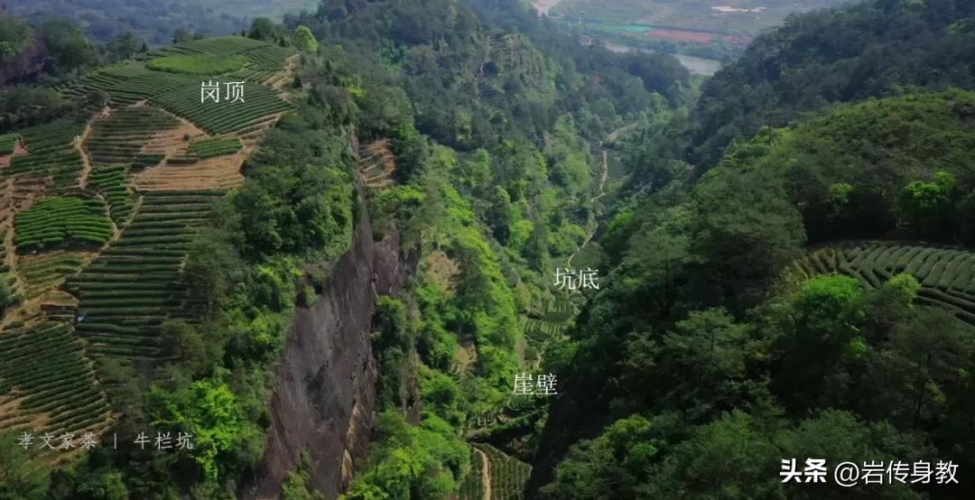 武夷山牛栏坑肉的独有的口感,武夷山的牛栏坑到底有多大