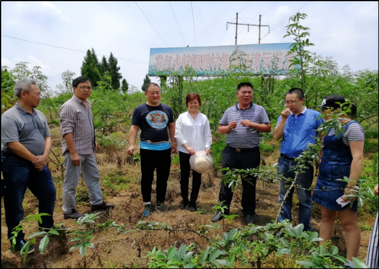 饱含浓浓乡情,厚植三农情怀书写乡村振兴华章