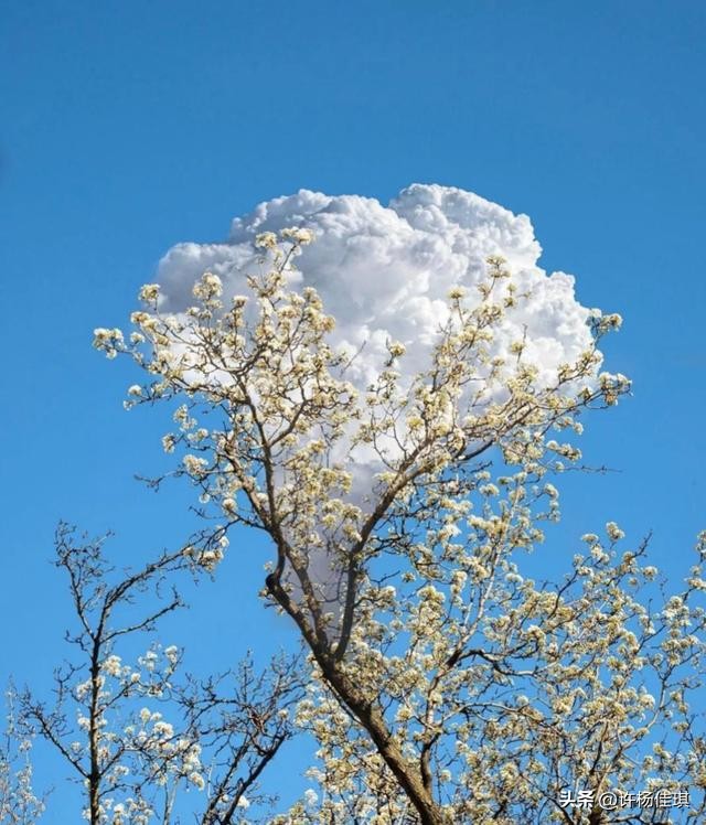 12星座智商排名,12星座性格特点漫画