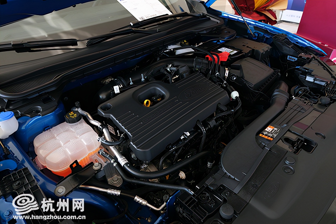 福特evos追光者碰撞测试,福特evos追光者二手