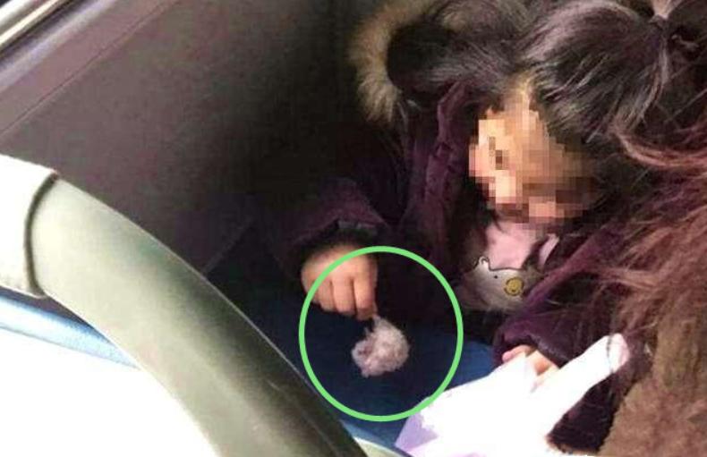 6岁公主活成“脚链囚徒”，背后的动物表演让人心疼