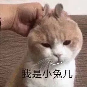 6万多人被监听，微信聊天全泄露，手机“*底卧**”软件真实存在