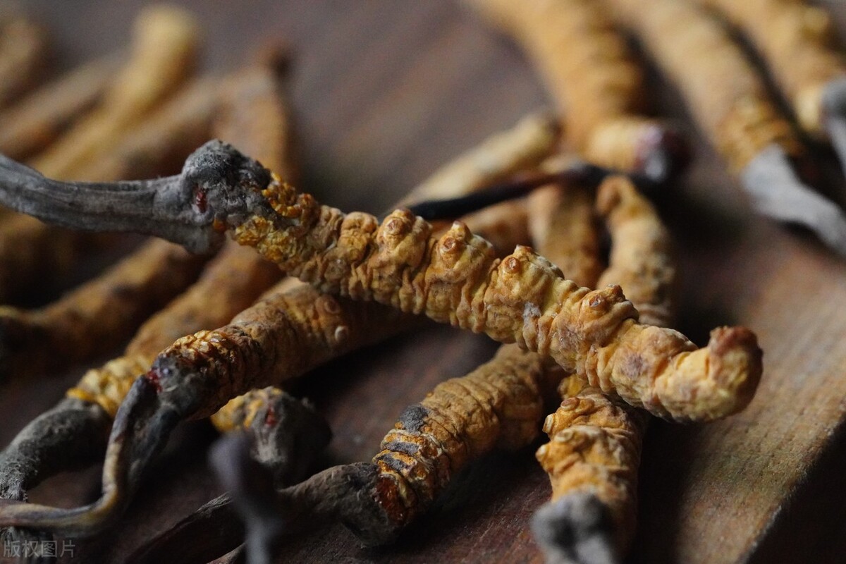 冬虫夏草发霉了还能吃吗,冬虫夏草发霉了怎么办