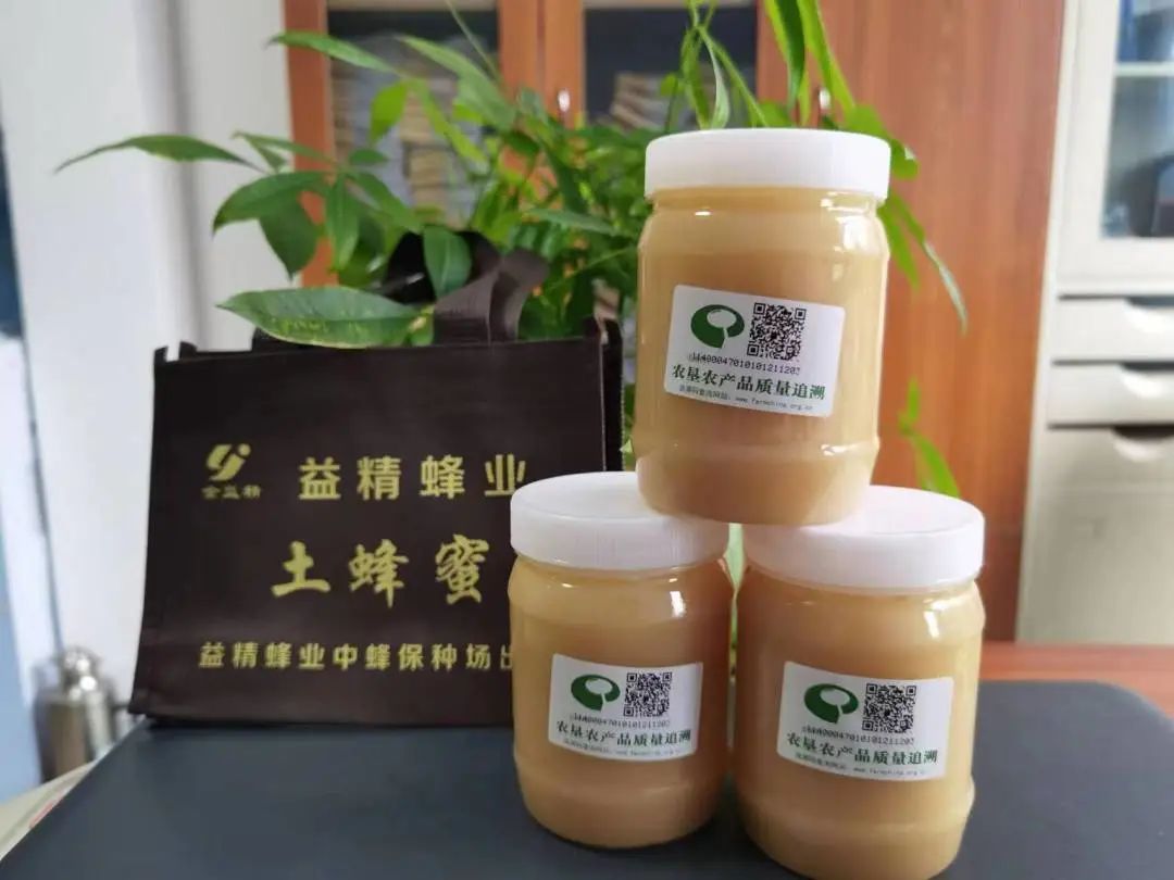 【上饶天下SHOW之广信区】中华蜜蜂谷:藏在五府山竹海密林中的蜜蜂“乐园”