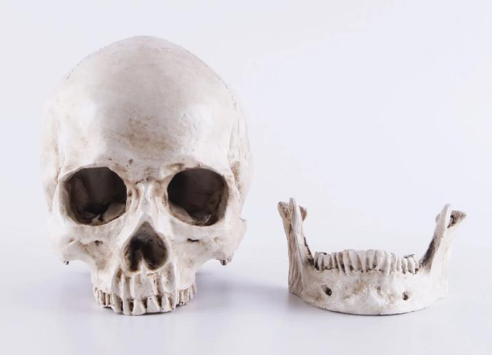 遗体被火化后为什么只剩下骨灰,遗体火化后为什么没有牙齿