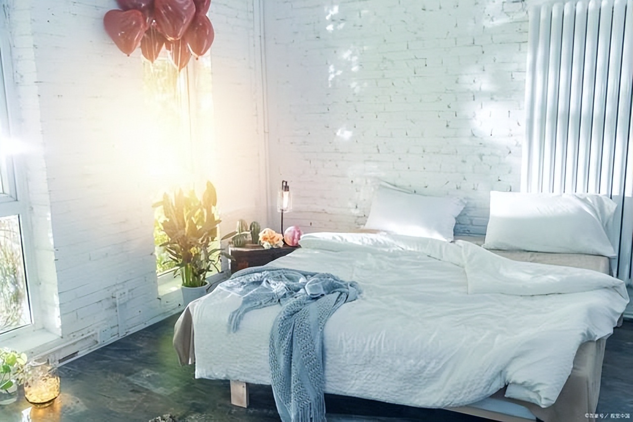 摆在家里最旺的十种花,什么花摆放卧室好养又好看