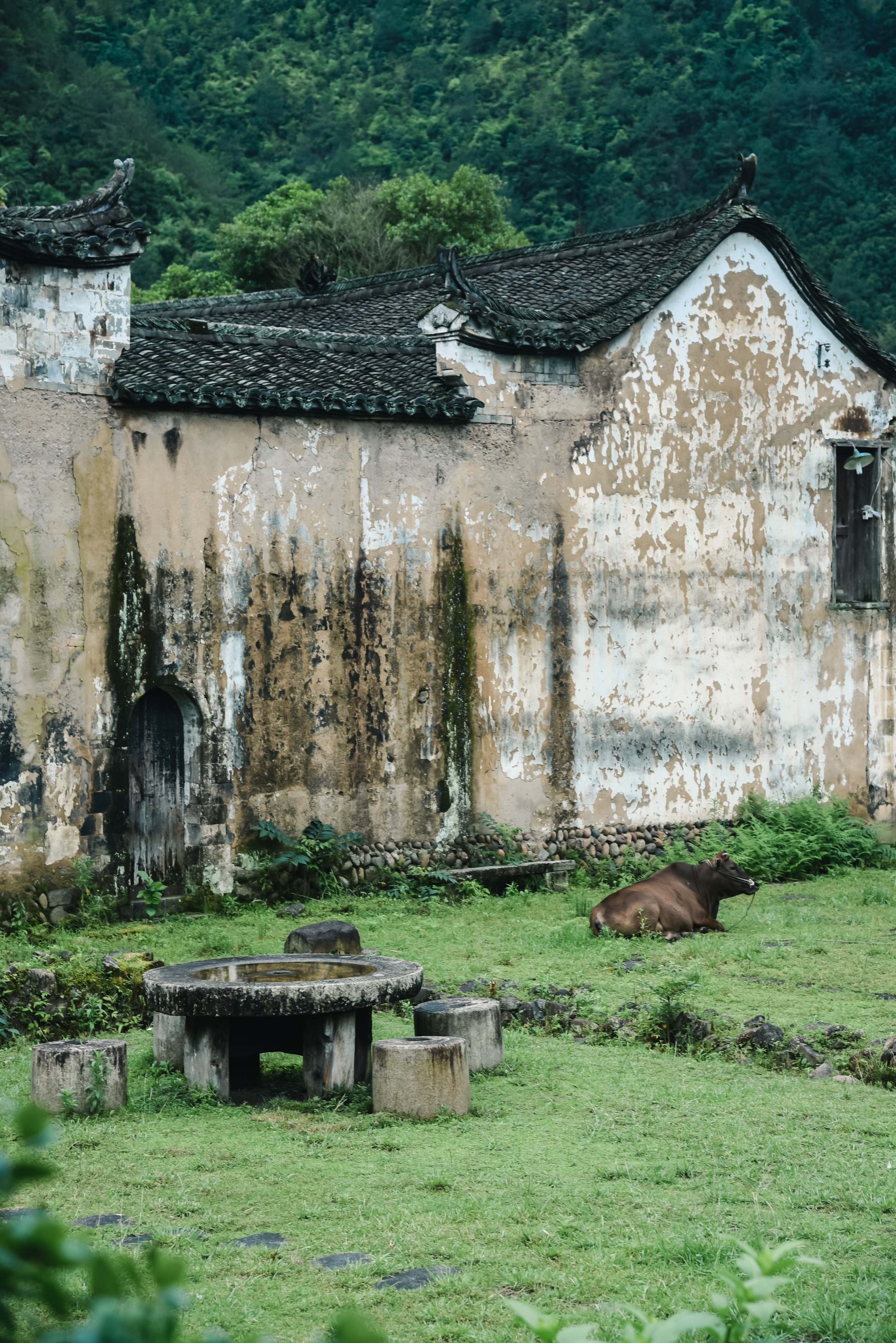 丽水遂昌旅游攻略一天游 (丽水遂昌被称旅游胜地)