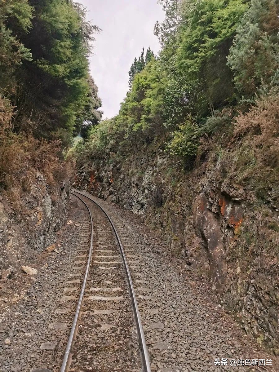 但尼丁火车站简介,新西兰但尼丁城市简介