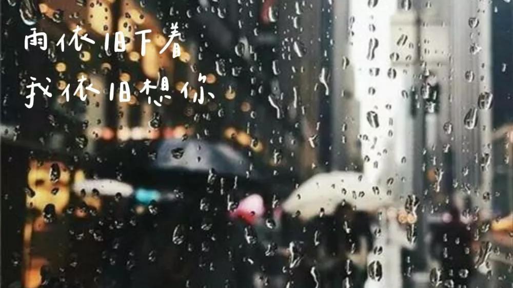 关于春雨的随想,春雨的心绪