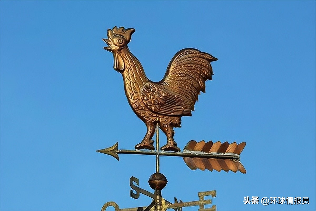 法国人为啥自称高卢雄鸡,法国为什么叫高卢雄鸡