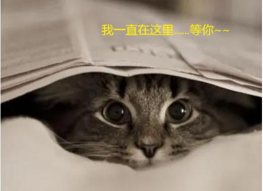 人生许多东西是可以放下的,人生应该丢掉的几样东西