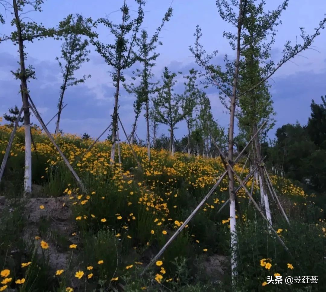 约不约歌曲原唱,约不约简谱