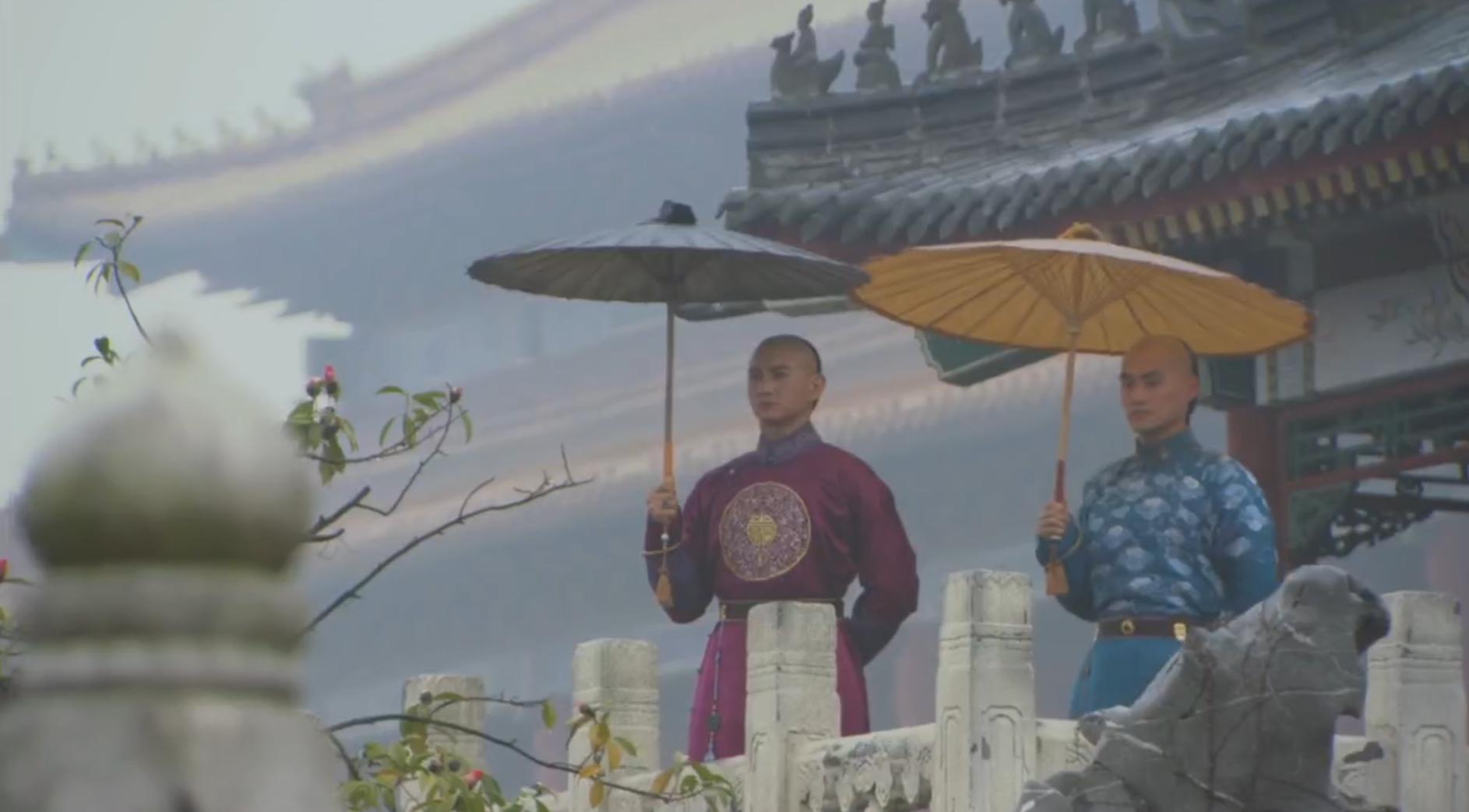 步步惊心八爷对四爷评价,步步惊心八爷临死前的真相