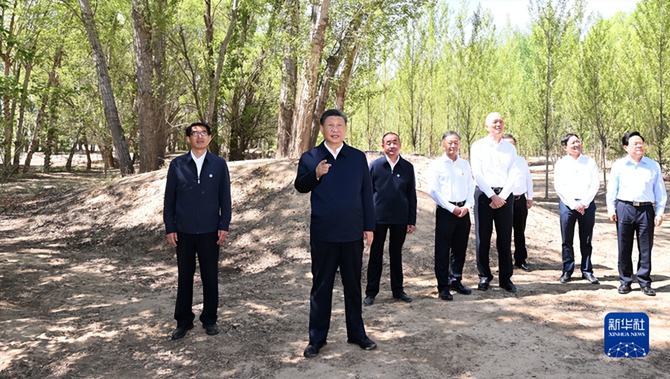 生态荒漠治理,我国在荒漠治理方面取得的成就