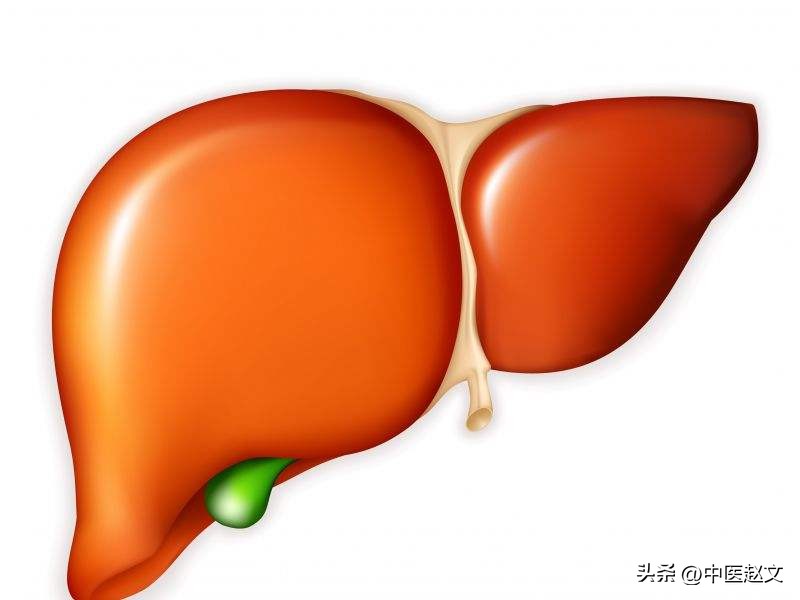 去肝火养肝护肝的最好方法,中医清肝护肝的最好方法