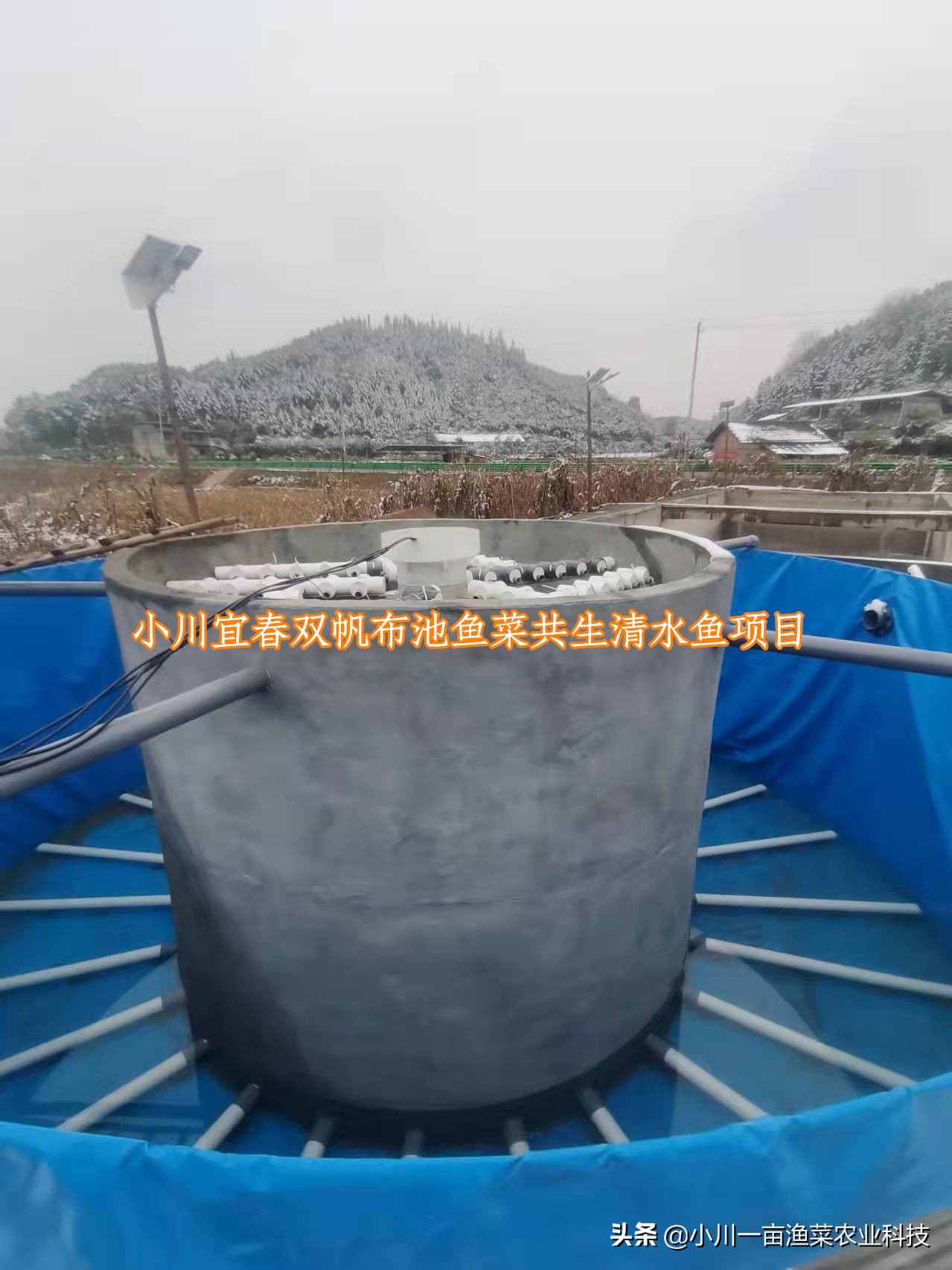 大型鱼菜共生水循环系统教程,家庭大鱼池鱼菜共生系统定制说明