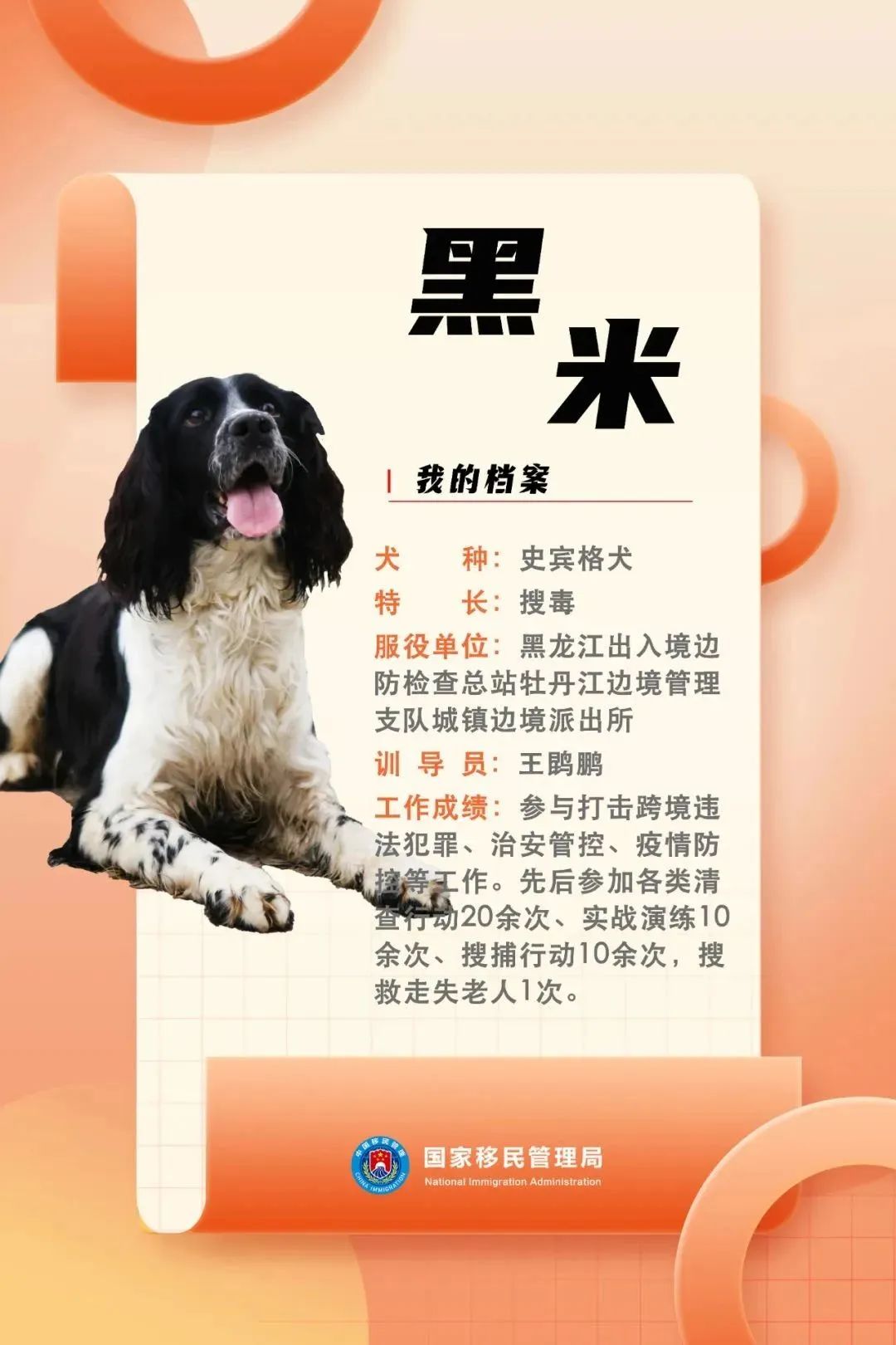 功勋犬天狼,功勋犬挑战不可能