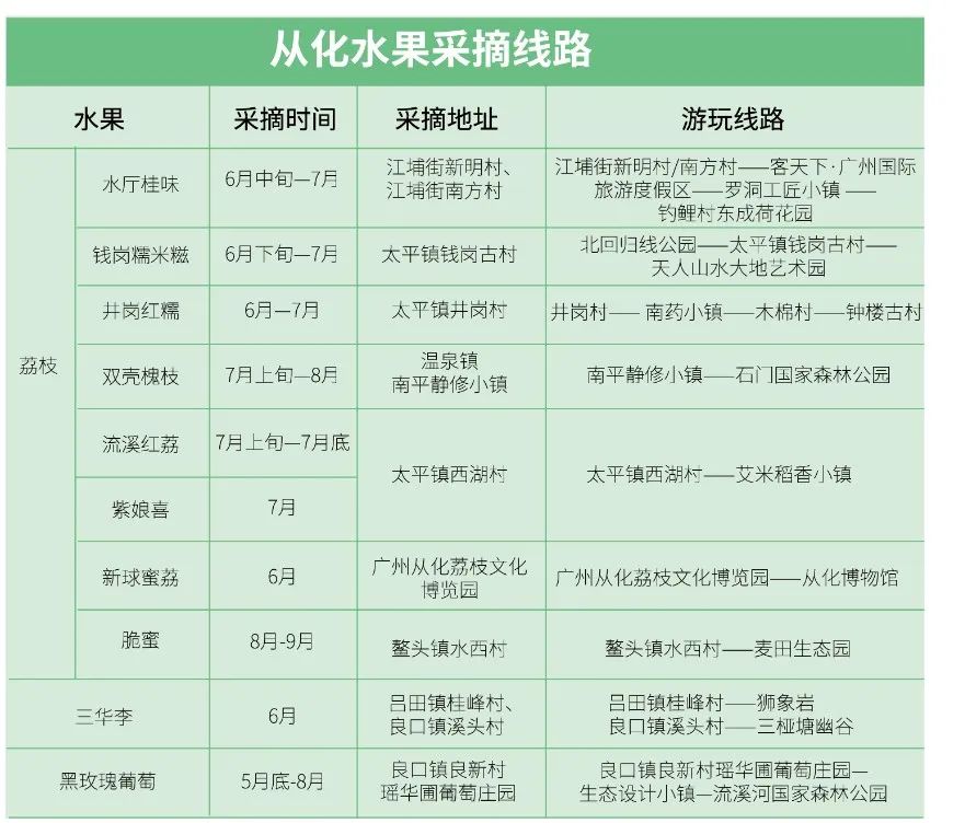 从化摘果攻略,从化摘水果攻略