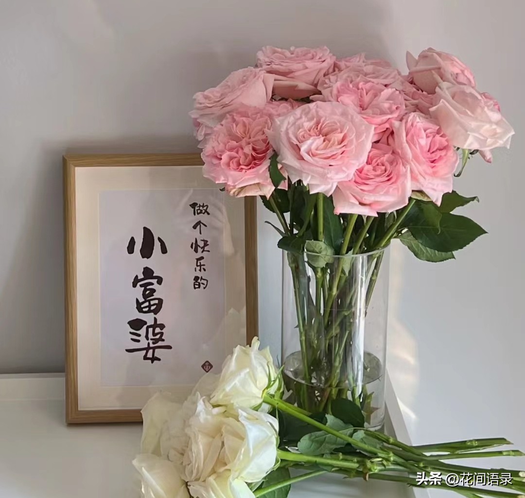 刘亦菲抱的鲜花是什么花呀,刘亦菲抱鲜花的照片为啥那么火