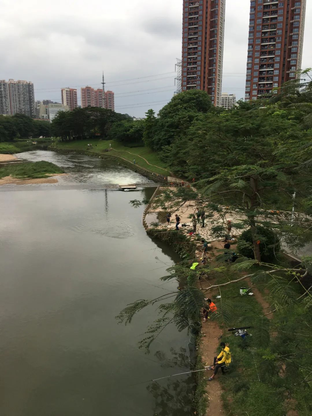 《旭光骑行深圳》第22站——龙华区观湖街道