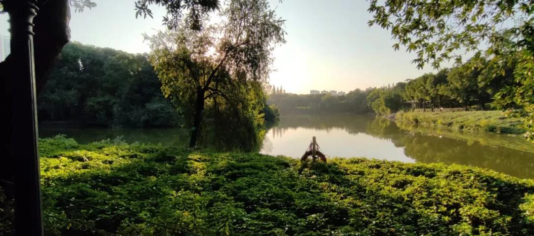 说说踩盘祈福新村的体验|倚湖湾、倚云居、晓峰园和迎风阁