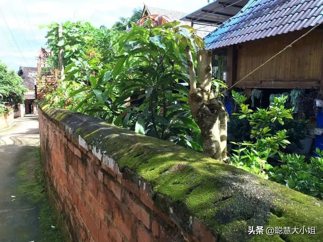 云南西双版纳美食攻略自助,西双版纳美食排行榜前十名