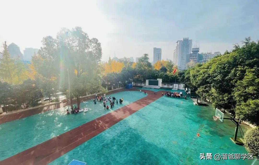 一校三区→一校五区？从不设分校的“金花学校”要爆发？