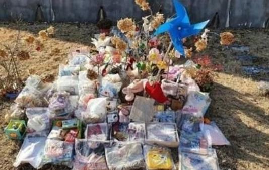 韩国小女孩郑仁被害真实事件,韩国郑仁虐童案真实事件