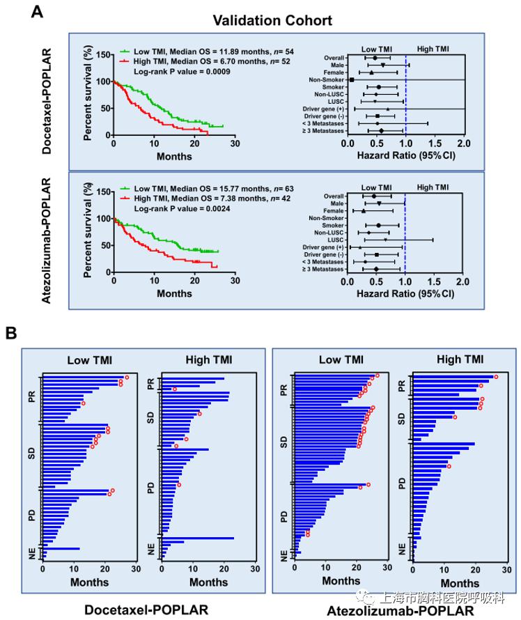 基于非小细胞肺癌患者ctDNA测序的肿瘤突变指数用于预测免疫治疗或化学治疗预后