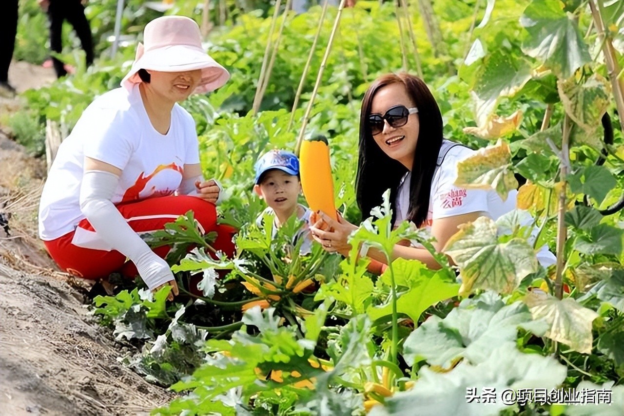 利润很吓人10个冷门创业项目摆摊,40-50岁创业方向十大冷门创业门路