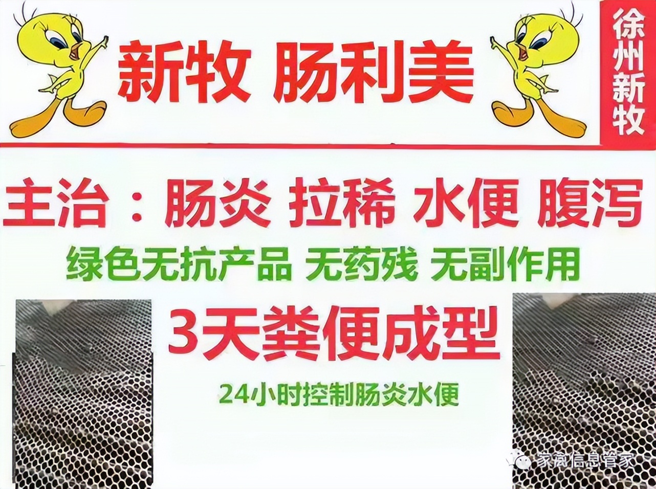 鸡长鸡冠癣的最佳治疗方法,鸡得了冠癣怎么治