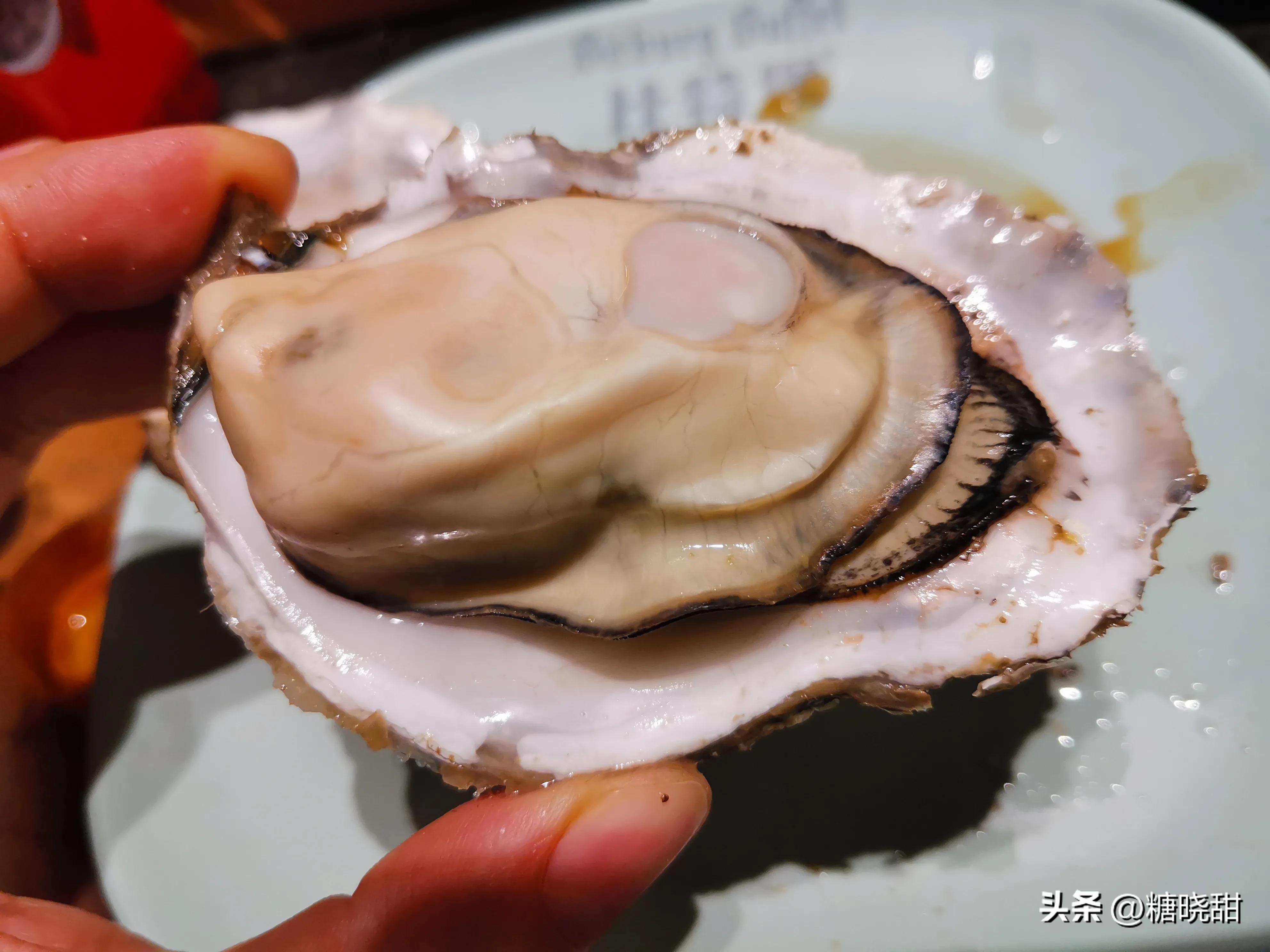 美食探店看着蒜蓉虾流口水,海鲜鲍鱼小龙虾螃蟹