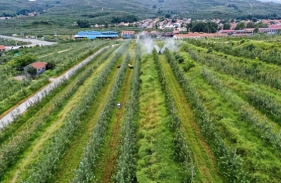 群众增收致富项目,群众增收企业创收税收