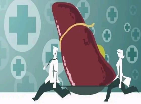 肝硬化身上长小红点痒是什么征兆,肝硬化脚面出了好多小红点有点肿