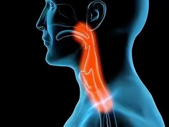 咽部磁共振解剖,头颅mri核磁共振介绍