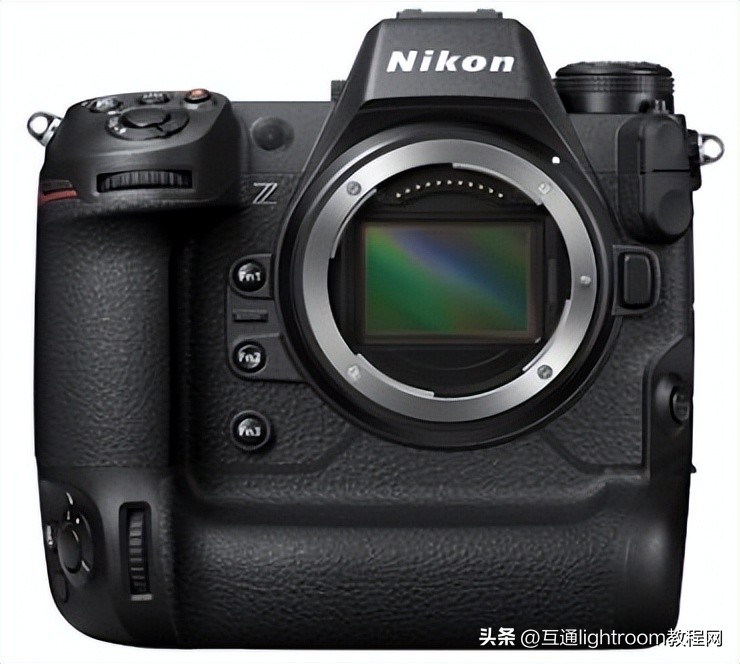 大变焦数码相机拍摄鸟类,最佳风光摄影相机推荐