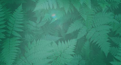 2023年高校毕业生创业政策,大学生就业创业补贴2023