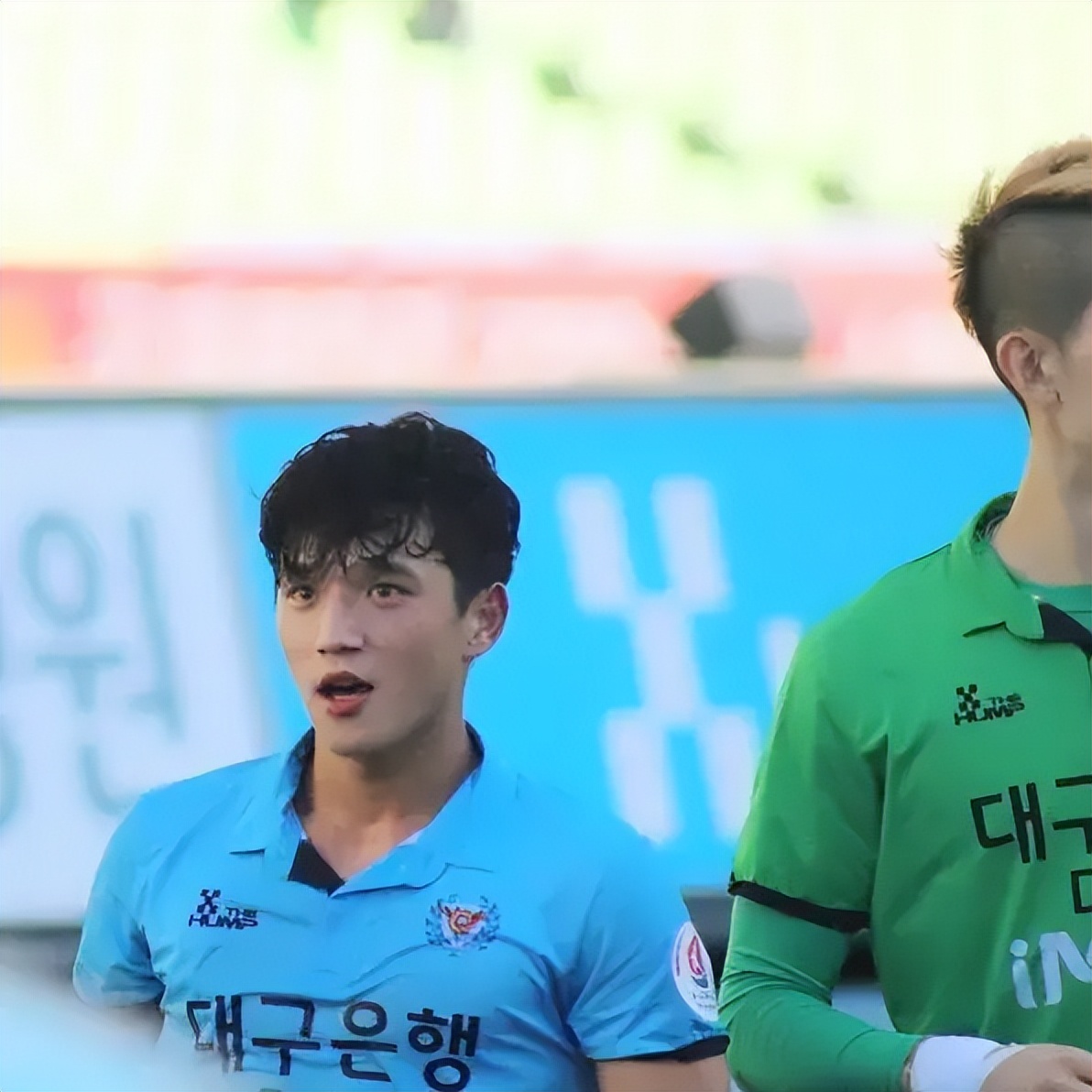 小狼狗腹肌全部视频,小狼狗的腹肌八块