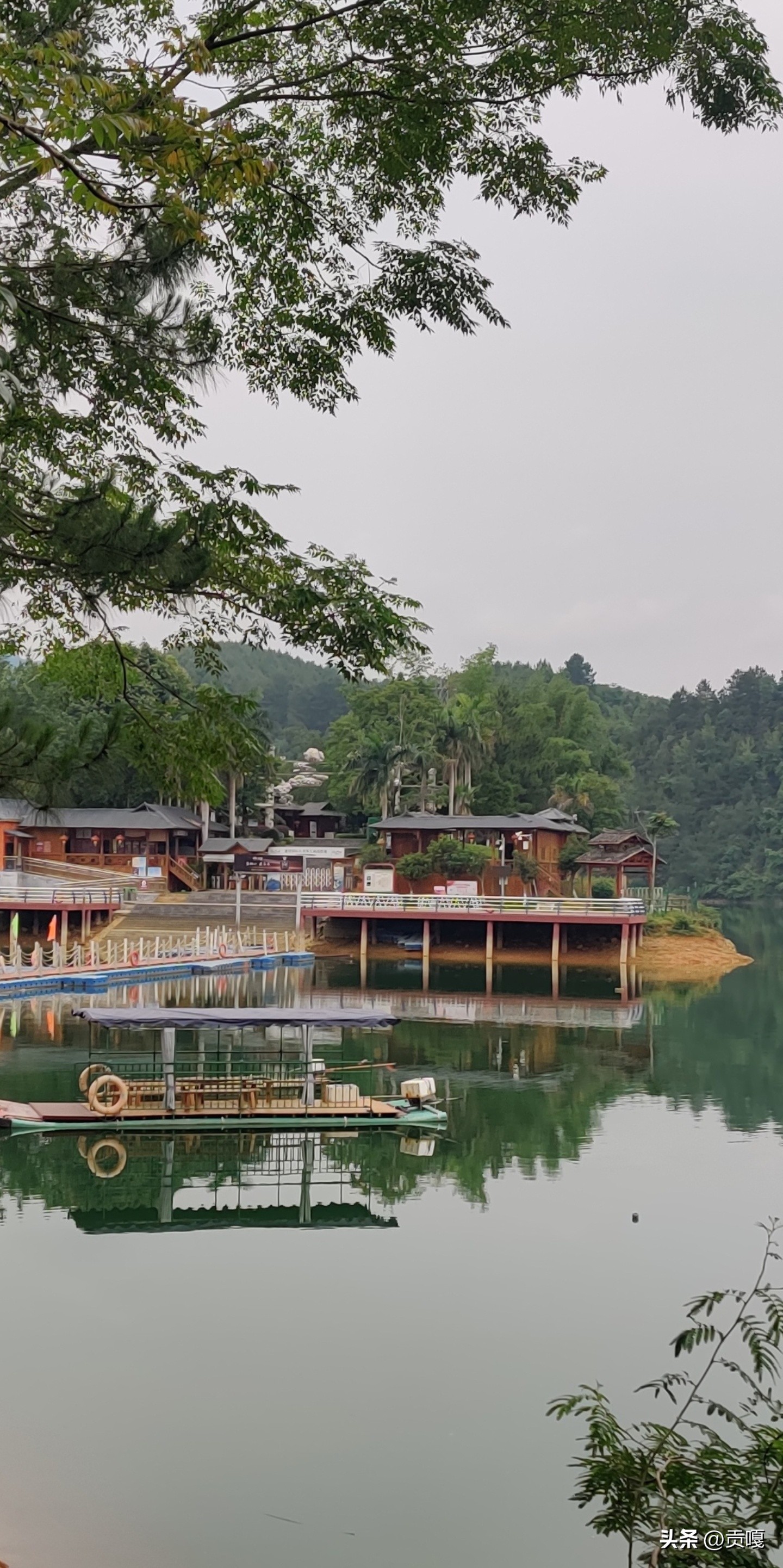 无与伦比的母亲,无与伦比的美丽母爱