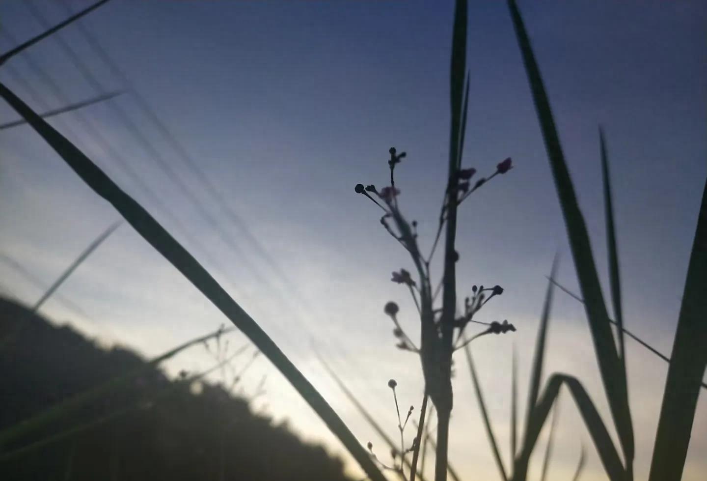 老头*戏调**了多少女孩？