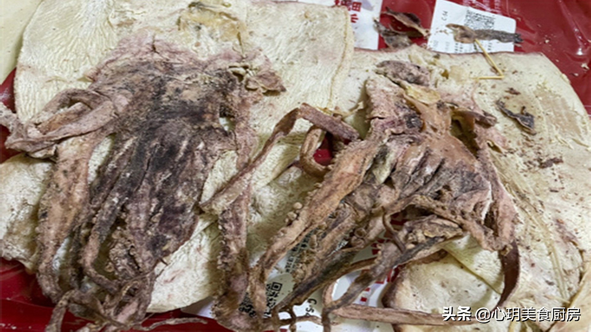 鱿鱼墨鱼的泡发方法,泡发鱿鱼干的正确方法及做法