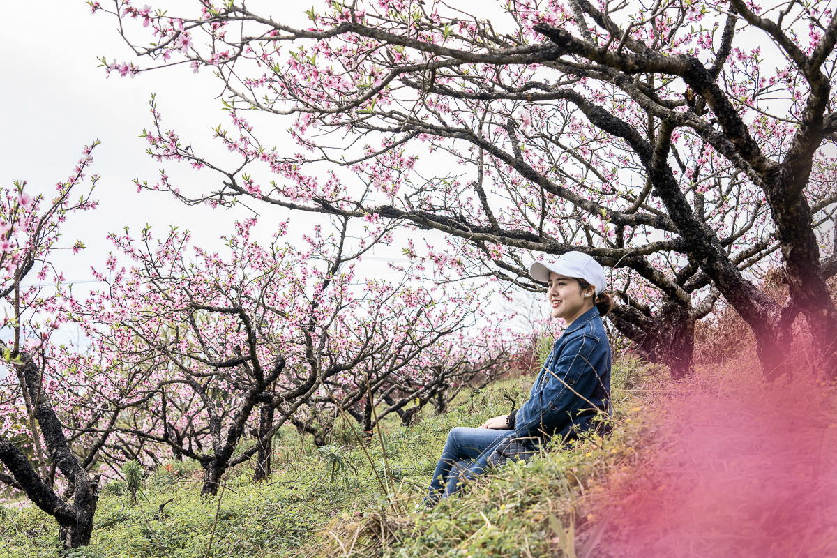 潼南油菜花旅游攻略,美好春日潼南赏花地图快来get