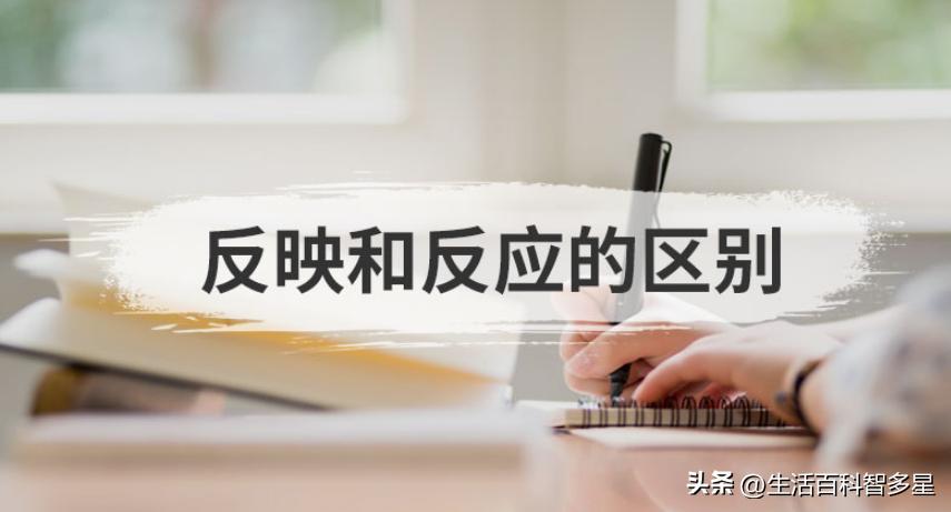 反映和反应的区别及用法,反应与反映有什么区别