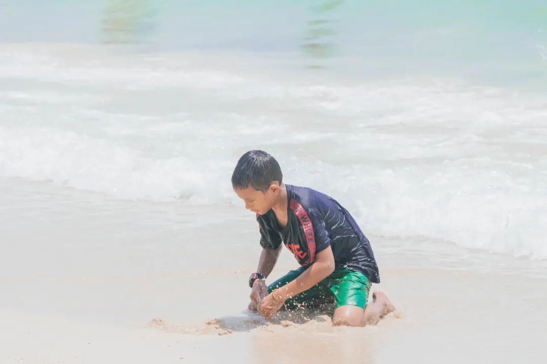 鍘绘嘲鍥芥浖璋峰拰鑺彁闆呯殑鏀荤暐,鍘绘嘲鍥界帺杞浖璋疯姯鎻愰泤