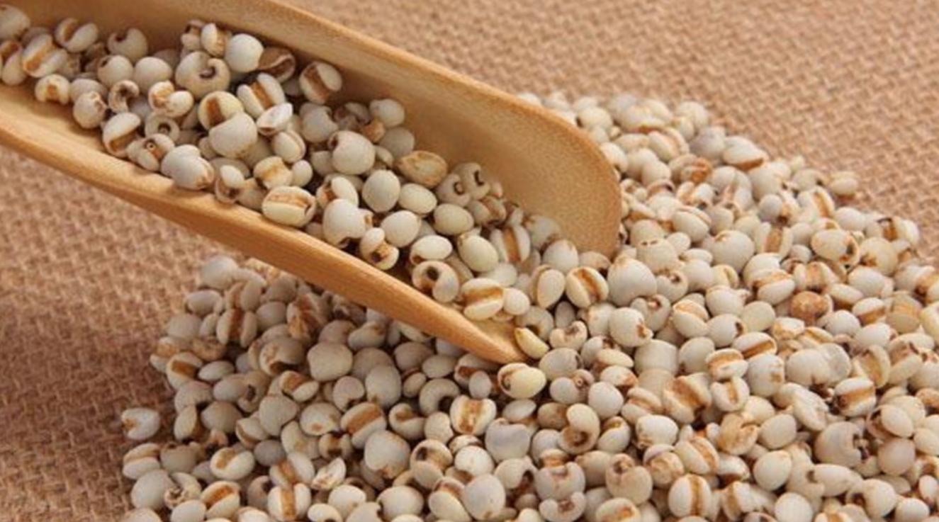 治各种息肉的四味中药,中医四味药消除息肉