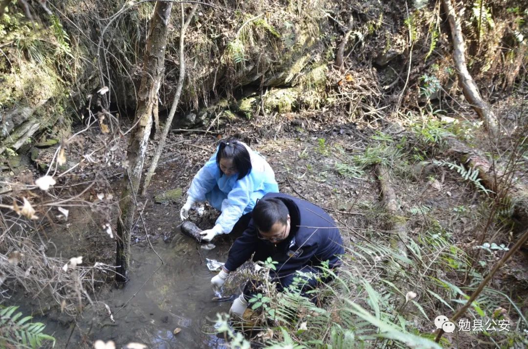 「先进典型」慧眼寻蛛丝纤手锁疑迹——勉县公安局法医罗茜同志先进事迹
