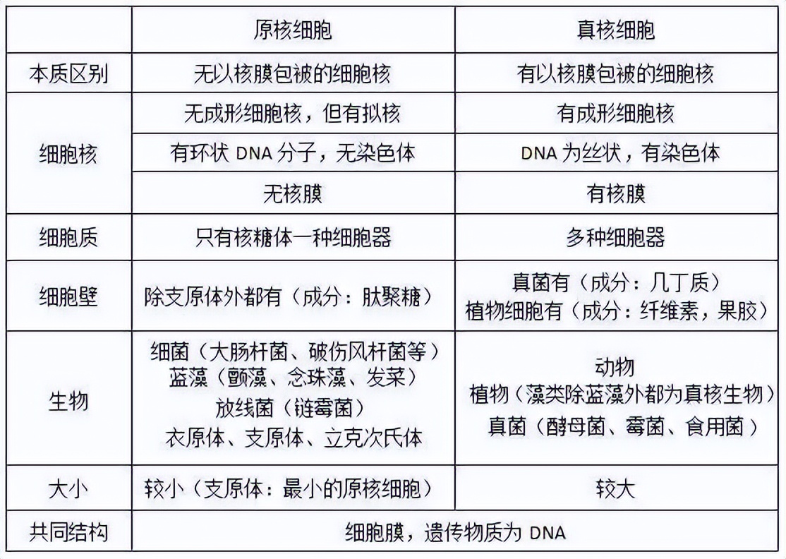 人体解剖生理基础名词解释,人体解剖生理基础ppt
