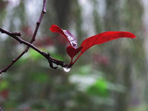 岁月漫长抵不过热情澎湃,岁月漫长仍值得等待